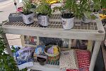 Sale Photo Thumbnail #32