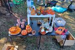 Sale Photo Thumbnail #19