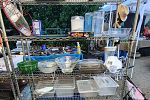 Sale Photo Thumbnail #22