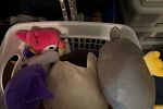 Sale Photo Thumbnail #18
