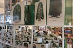 Sale Photo Thumbnail #41