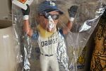 Sale Photo Thumbnail #10