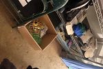 Sale Photo Thumbnail #37
