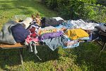 Sale Photo Thumbnail #3