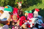 Sale Photo Thumbnail #11