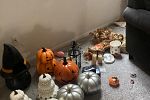 Sale Photo Thumbnail #11