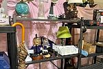 Sale Photo Thumbnail #13