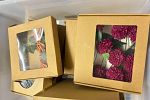 Sale Photo Thumbnail #163
