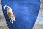 Sale Photo Thumbnail #12