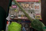 Sale Photo Thumbnail #6