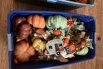 Sale Photo Thumbnail #52