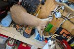 Sale Photo Thumbnail #5