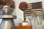 Sale Photo Thumbnail #33