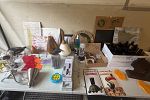 Sale Photo Thumbnail #6