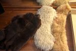 Sale Photo Thumbnail #32