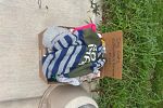 Sale Photo Thumbnail #17