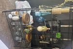Sale Photo Thumbnail #5