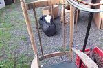 Sale Photo Thumbnail #43