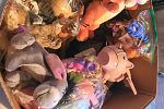Sale Photo Thumbnail #13