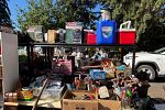 Sale Photo Thumbnail #6