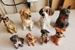 Sale Photo Thumbnail #11