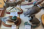 Sale Photo Thumbnail #8