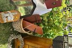 Sale Photo Thumbnail #9
