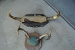 Sale Photo Thumbnail #8