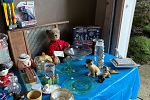Sale Photo Thumbnail #9
