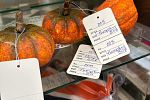 Sale Photo Thumbnail #18