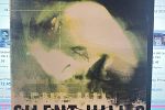 Sale Photo Thumbnail #17