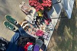 Sale Photo Thumbnail #7