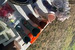 Sale Photo Thumbnail #18