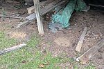 Sale Photo Thumbnail #15