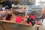 Sale Photo Thumbnail #11