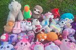 Sale Photo Thumbnail #6