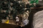 Sale Photo Thumbnail #10