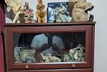 Sale Photo Thumbnail #42