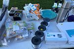 Sale Photo Thumbnail #18