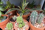 Sale Photo Thumbnail #9