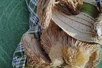 Sale Photo Thumbnail #65