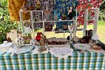 Sale Photo Thumbnail #30