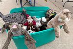 Sale Photo Thumbnail #5