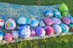 Sale Photo Thumbnail #36
