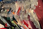 Sale Photo Thumbnail #26