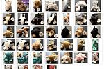 Sale Photo Thumbnail #11