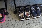 Sale Photo Thumbnail #37