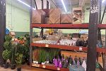 Sale Photo Thumbnail #2