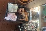 Sale Photo Thumbnail #13