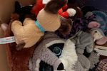 Sale Photo Thumbnail #4